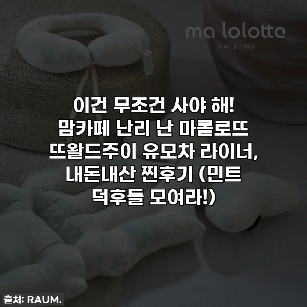 이건 무조건 사야 해! 맘카페 난리 난 마롤로뜨 뜨왈드주이 유모차 라이너, 내돈내산 찐후기 (민트 덕후들 모여라!)