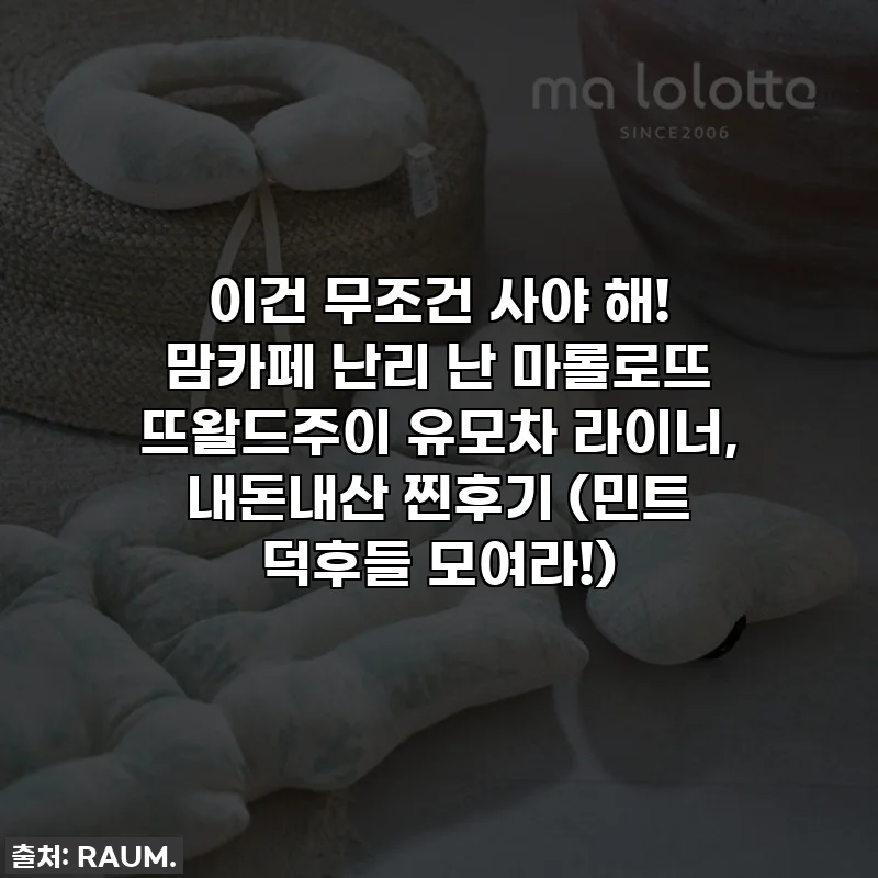 이건 무조건 사야 해! 맘카페 난리 난 마롤로뜨 뜨왈드주이 유모차 라이너, 내돈내산 찐후기 (민트 덕후들 모여라!)