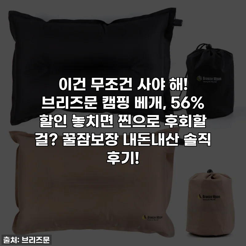 이건 무조건 사야 해! 브리즈문 캠핑 베개, 56% 할인 놓치면 찐으로 후회할 걸? 꿀잠보장 내돈내산 솔직 후기!