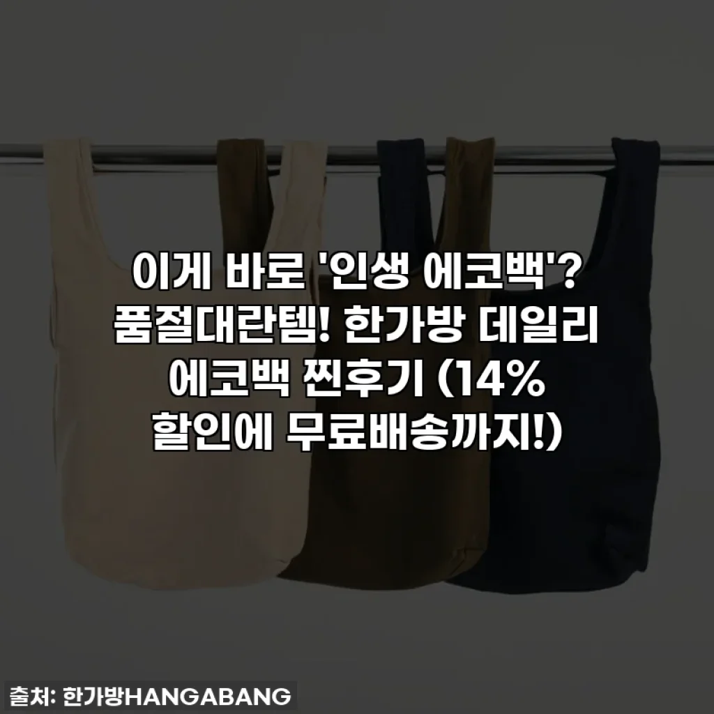 이게 바로 '인생 에코백'? 품절대란템! 한가방 데일리 에코백 찐후기 (14% 할인에 무료배송까지!)