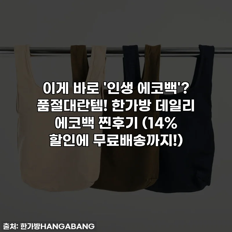 이게 바로 '인생 에코백'? 품절대란템! 한가방 데일리 에코백 찐후기 (14% 할인에 무료배송까지!)