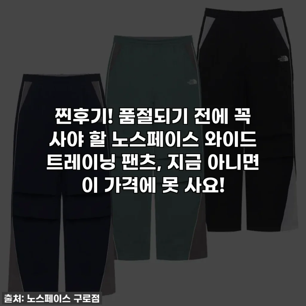 찐후기! 품절되기 전에 꼭 사야 할 노스페이스 와이드 트레이닝 팬츠, 지금 아니면 이 가격에 못 사요!