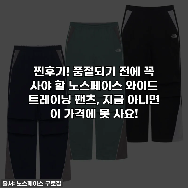 찐후기! 품절되기 전에 꼭 사야 할 노스페이스 와이드 트레이닝 팬츠, 지금 아니면 이 가격에 못 사요!