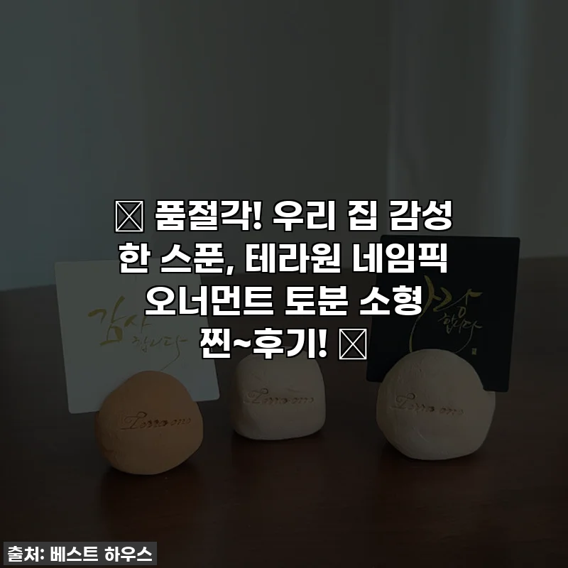 ✨ 품절각! 우리 집 감성 한 스푼, 테라원 네임픽 오너먼트 토분 소형 찐~후기! 🌿