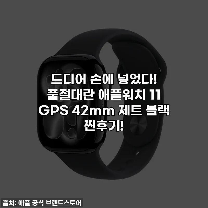 드디어 손에 넣었다! 품절대란 애플워치 11 GPS 42mm 제트 블랙 찐후기!