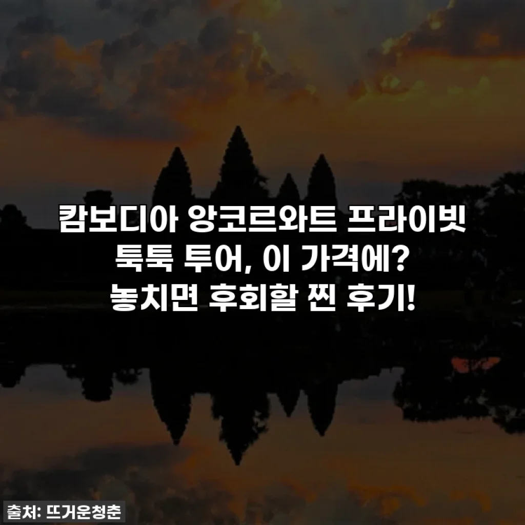 캄보디아 앙코르와트 프라이빗 툭툭 투어, 이 가격에? 놓치면 후회할 찐 후기!