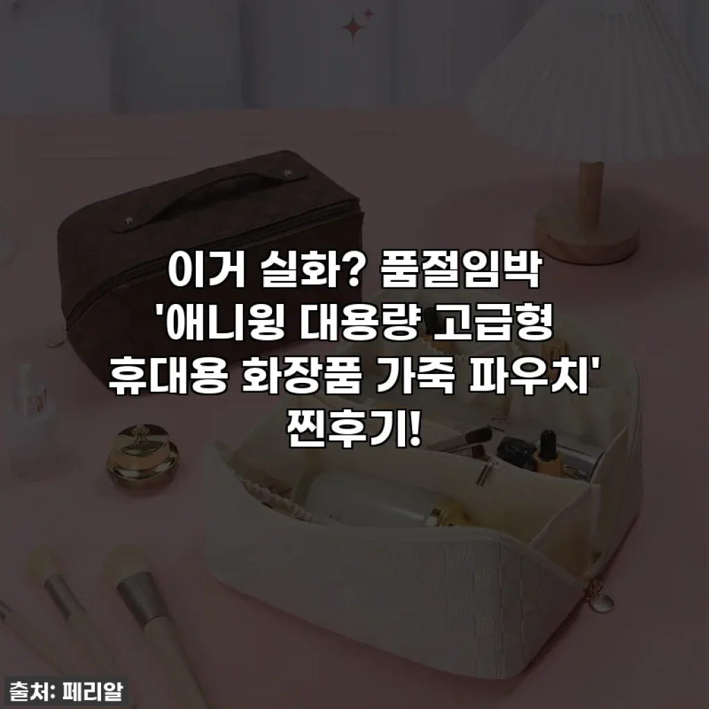 이거 실화? 품절임박 '애니윙 대용량 고급형 휴대용 화장품 가죽 파우치' 찐후기!