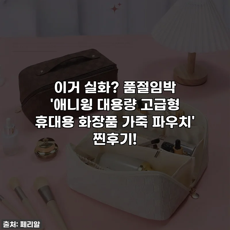 이거 실화? 품절임박 '애니윙 대용량 고급형 휴대용 화장품 가죽 파우치' 찐후기!