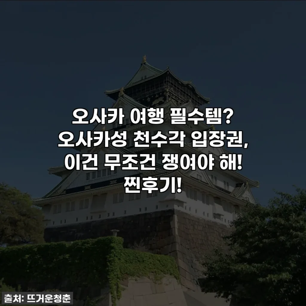 오사카 여행 필수템? 오사카성 천수각 입장권, 이건 무조건 쟁여야 해! 찐후기!
