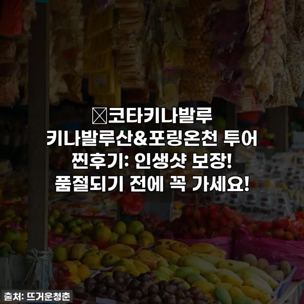 🌴코타키나발루 키나발루산&포링온천 투어 찐후기: 인생샷 보장! 품절되기 전에 꼭 가세요!