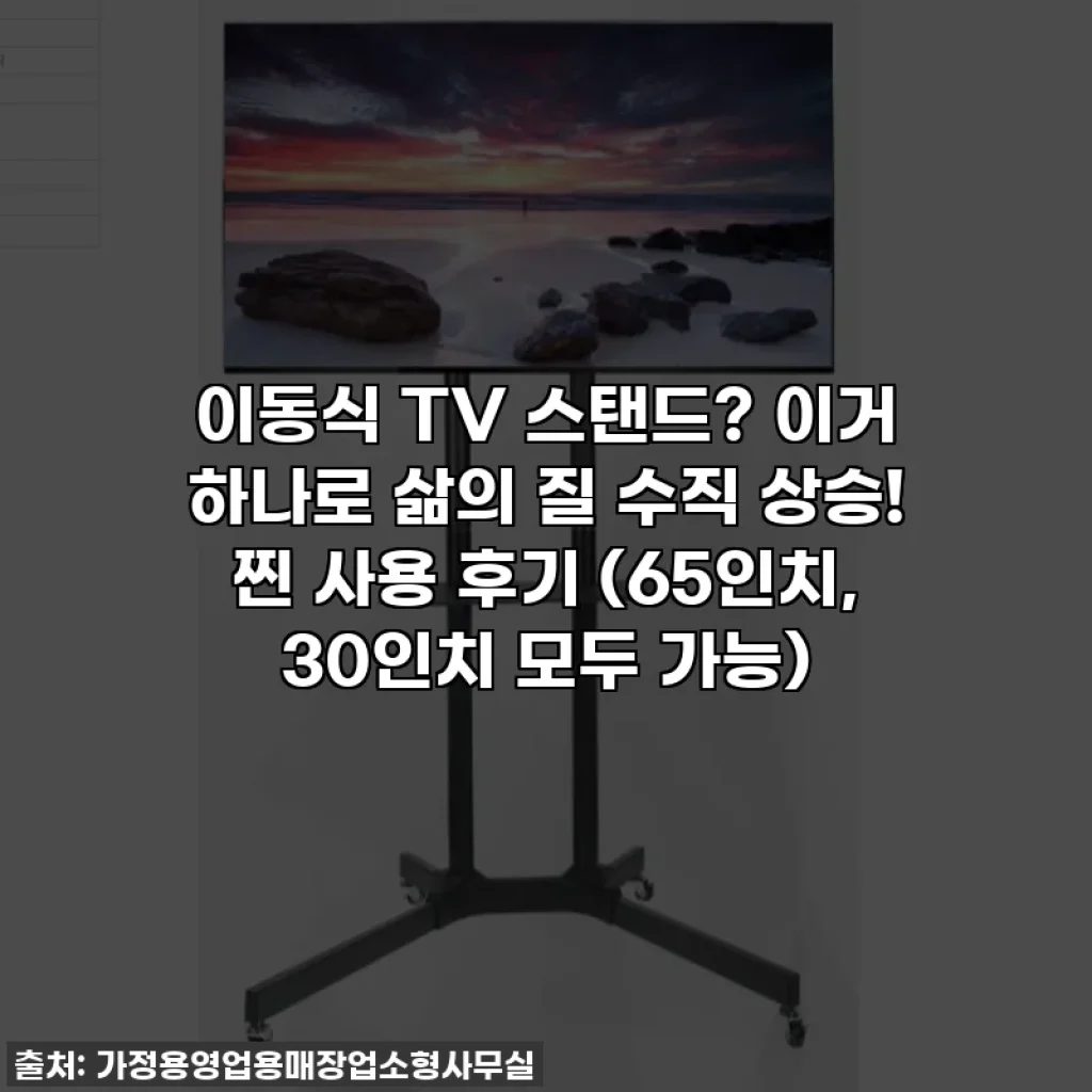 이동식 TV 스탠드? 이거 하나로 삶의 질 수직 상승! 찐 사용 후기 (65인치, 30인치 모두 가능)