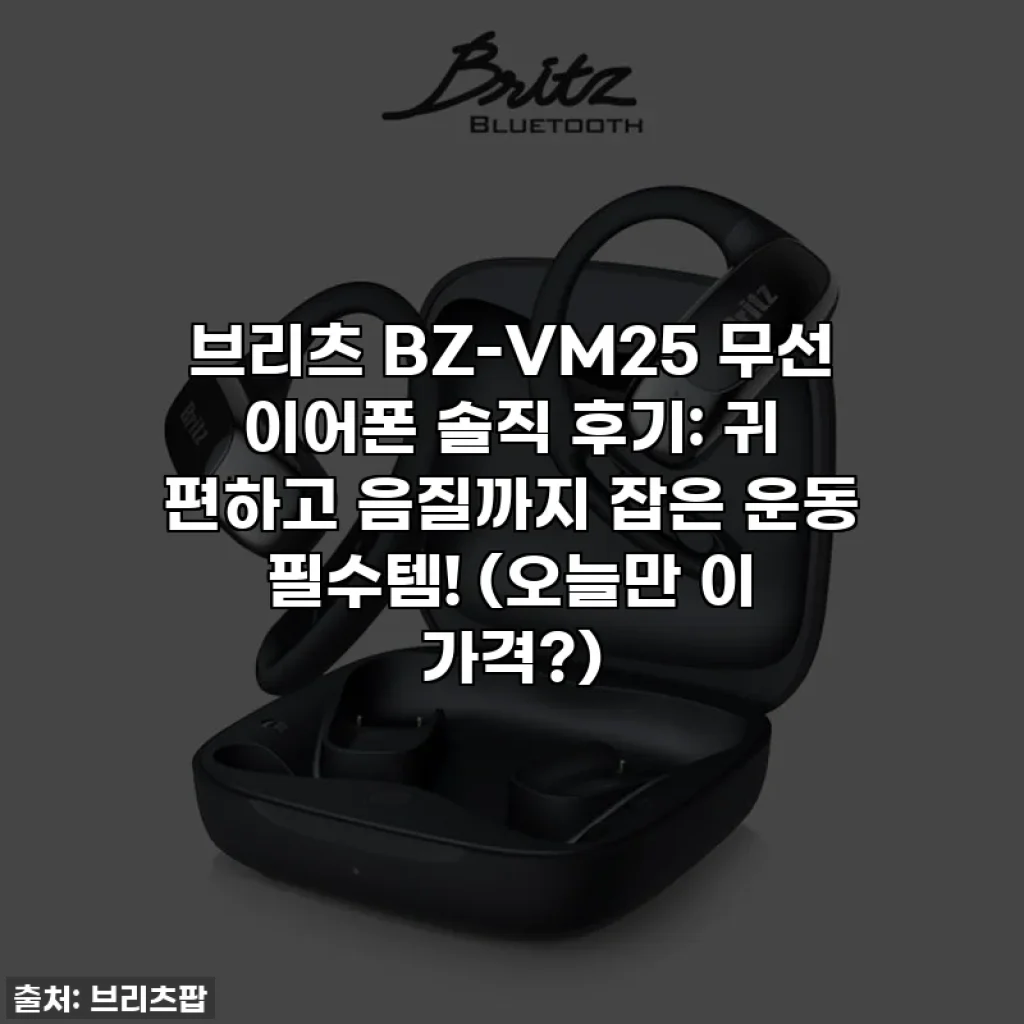 브리츠 BZ-VM25 무선 이어폰 솔직 후기: 귀 편하고 음질까지 잡은 운동 필수템! (오늘만 이 가격?)