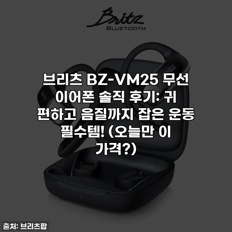 브리츠 BZ-VM25 무선 이어폰 솔직 후기: 귀 편하고 음질까지 잡은 운동 필수템! (오늘만 이 가격?)