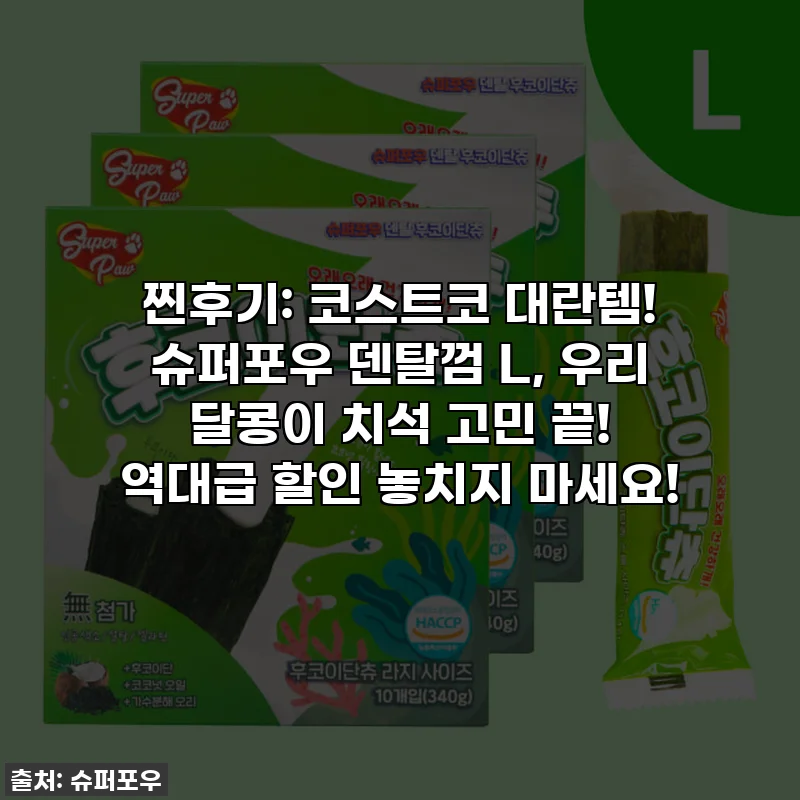 찐후기: 코스트코 대란템! 슈퍼포우 덴탈껌 L, 우리 달콩이 치석 고민 끝! 역대급 할인 놓치지 마세요!
