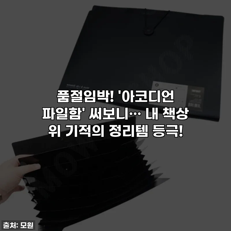 품절임박! '아코디언 파일함' 써보니… 내 책상 위 기적의 정리템 등극!