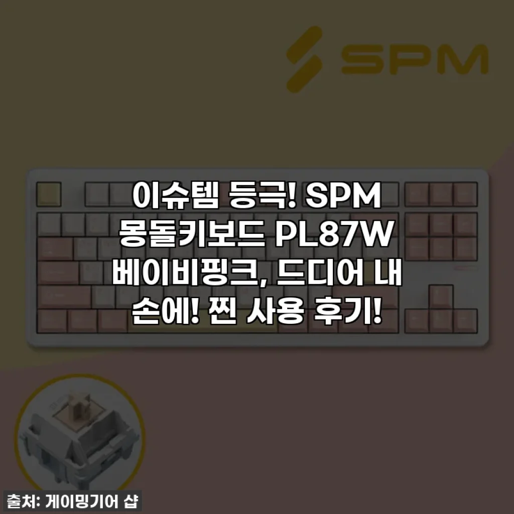 이슈템 등극! SPM 몽돌키보드 PL87W 베이비핑크, 드디어 내 손에! 찐 사용 후기!