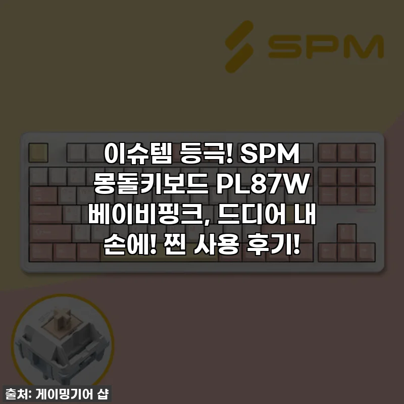 이슈템 등극! SPM 몽돌키보드 PL87W 베이비핑크, 드디어 내 손에! 찐 사용 후기!