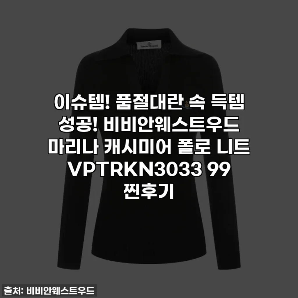 이슈템! 품절대란 속 득템 성공! 비비안웨스트우드 마리나 캐시미어 폴로 니트 VPTRKN3033 99 찐후기