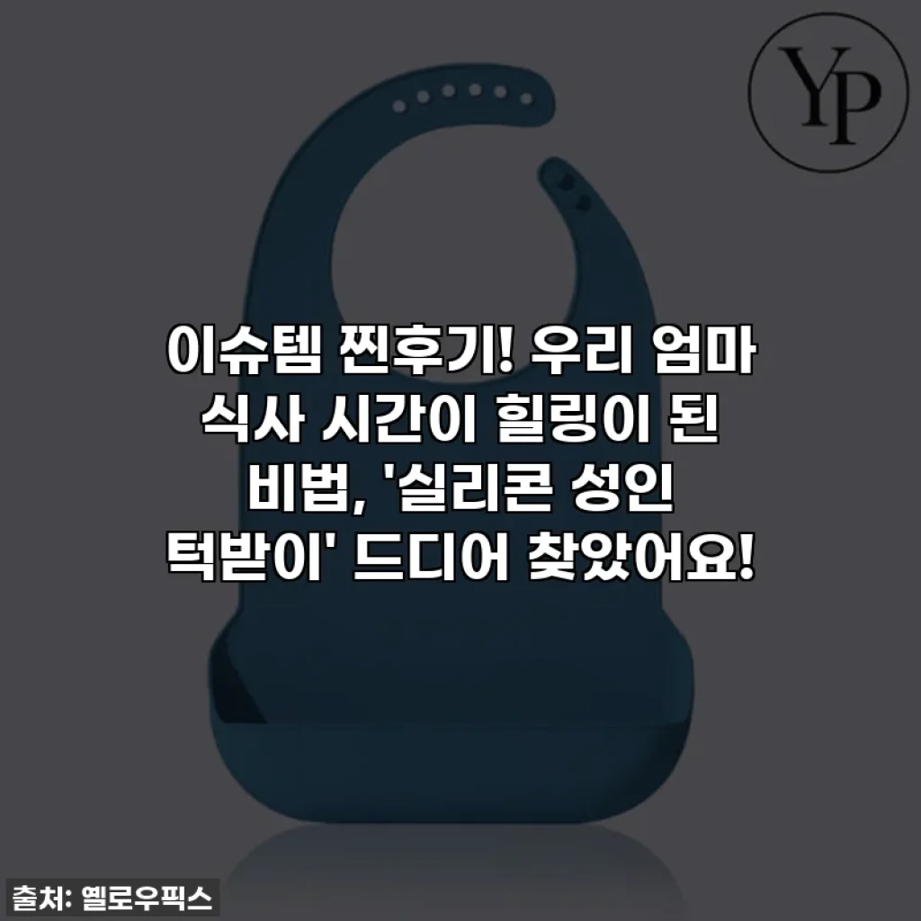 이슈템 찐후기! 우리 엄마 식사 시간이 힐링이 된 비법, '실리콘 성인 턱받이' 드디어 찾았어요!