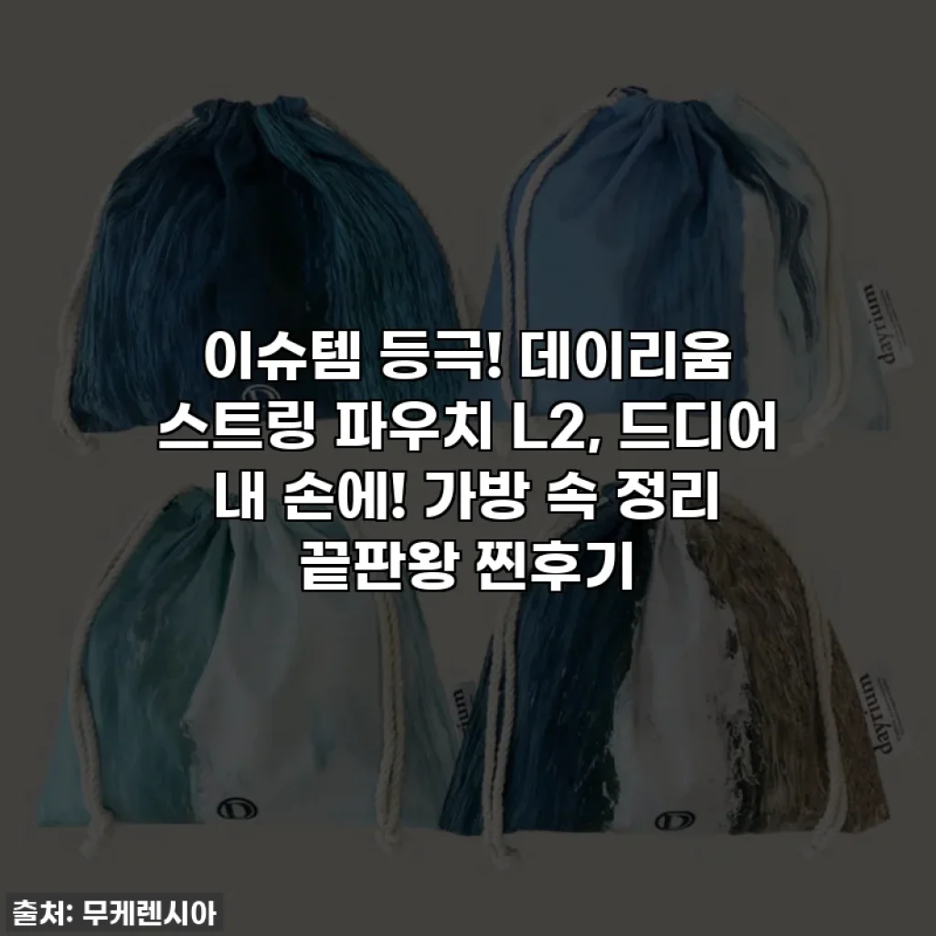 이슈템 등극! 데이리움 스트링 파우치 L2, 드디어 내 손에! 가방 속 정리 끝판왕 찐후기