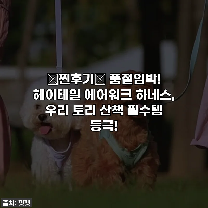 💖찐후기💖 품절임박! 헤이테일 에어워크 하네스, 우리 토리 산책 필수템 등극!
