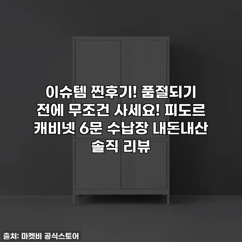 이슈템 찐후기! 품절되기 전에 무조건 사세요! 피도르 캐비넷 6문 수납장 내돈내산 솔직 리뷰