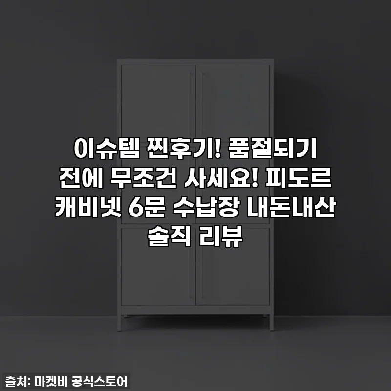 이슈템 찐후기! 품절되기 전에 무조건 사세요! 피도르 캐비넷 6문 수납장 내돈내산 솔직 리뷰