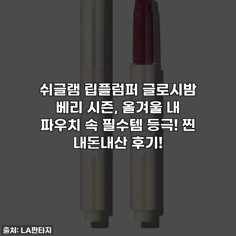 쉬글램 립플럼퍼 글로시밤 베리 시즌, 올겨울 내 파우치 속 필수템 등극! 찐 내돈내산 후기!