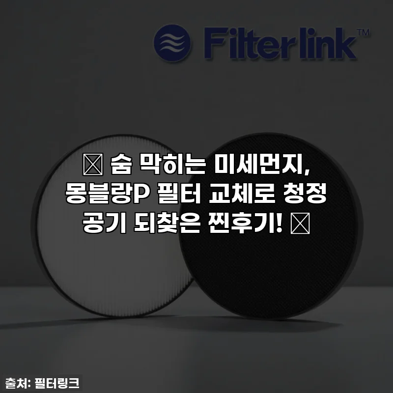 ✨ 숨 막히는 미세먼지, 몽블랑P 필터 교체로 청정 공기 되찾은 찐후기! ✨