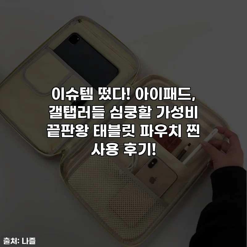이슈템 떴다! 아이패드, 갤탭러들 심쿵할 가성비 끝판왕 태블릿 파우치 찐 사용 후기!