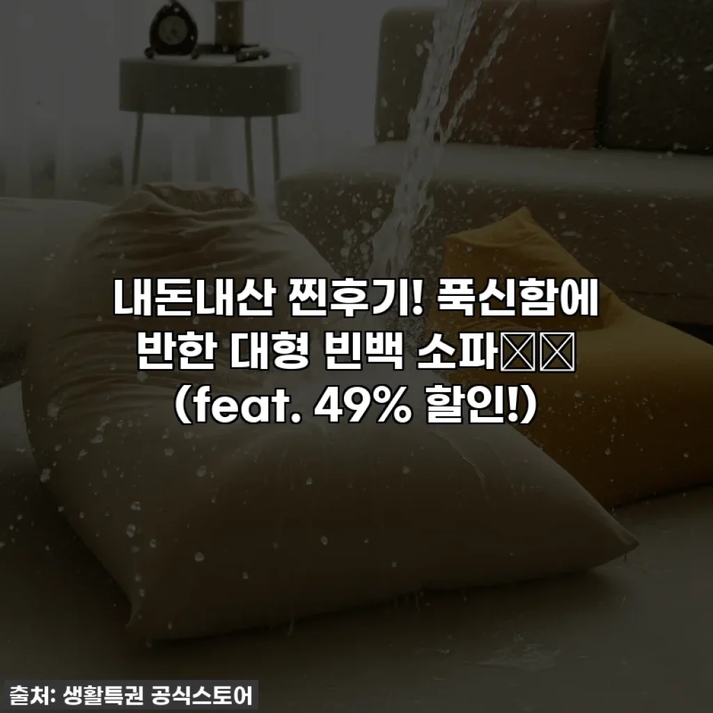 내돈내산 찐후기! 푹신함에 반한 대형 빈백 소파🛋️ (feat. 49% 할인!)