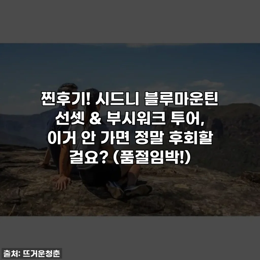 찐후기! 시드니 블루마운틴 선셋 & 부시워크 투어, 이거 안 가면 정말 후회할 걸요? (품절임박!)