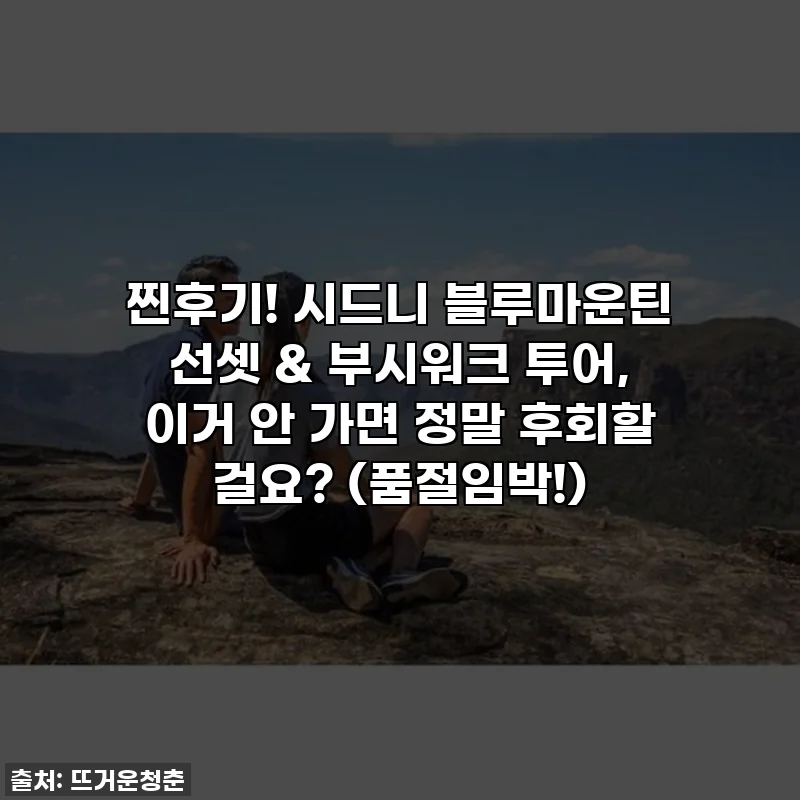 찐후기! 시드니 블루마운틴 선셋 & 부시워크 투어, 이거 안 가면 정말 후회할 걸요? (품절임박!)