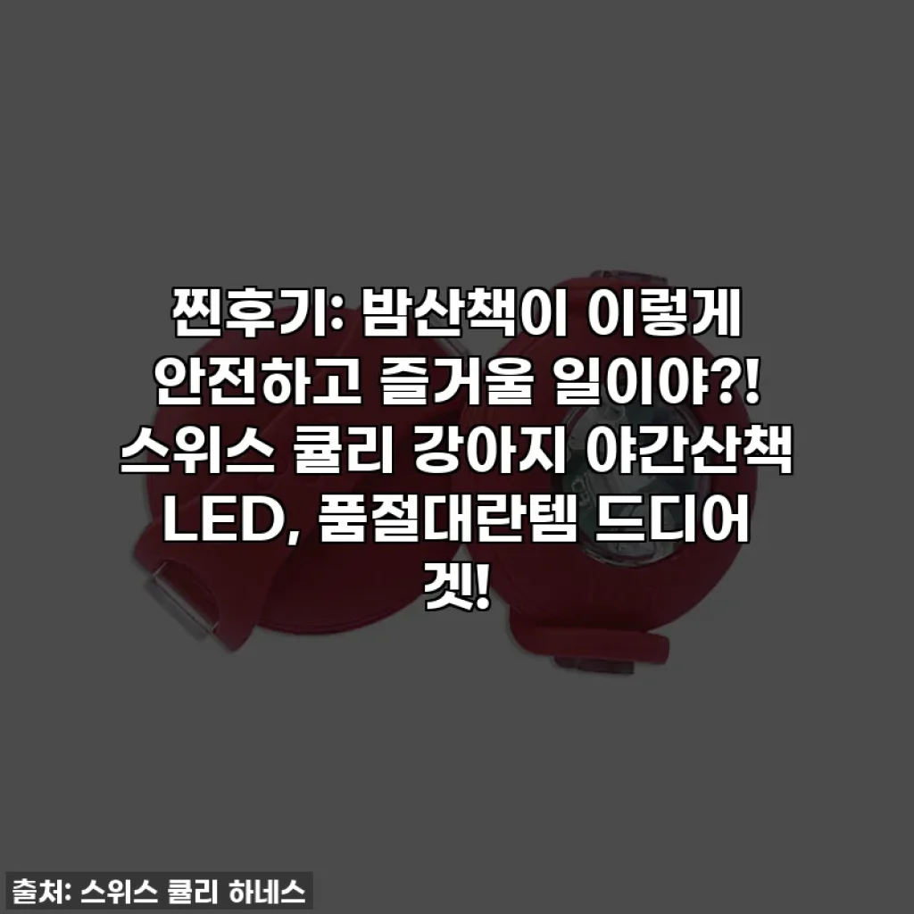 찐후기: 밤산책이 이렇게 안전하고 즐거울 일이야?! 스위스 큘리 강아지 야간산책 LED, 품절대란템 드디어 겟!