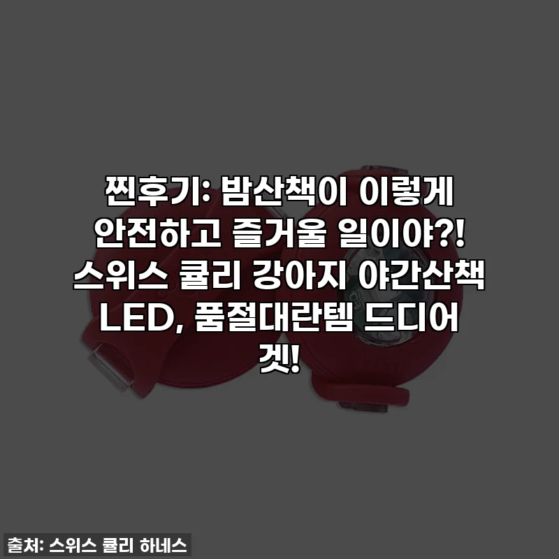 찐후기: 밤산책이 이렇게 안전하고 즐거울 일이야?! 스위스 큘리 강아지 야간산책 LED, 품절대란템 드디어 겟!