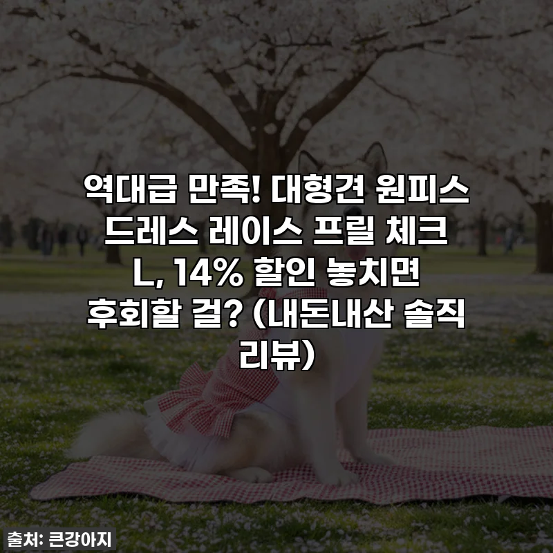 역대급 만족! 대형견 원피스 드레스 레이스 프릴 체크 L, 14% 할인 놓치면 후회할 걸? (내돈내산 솔직 리뷰)