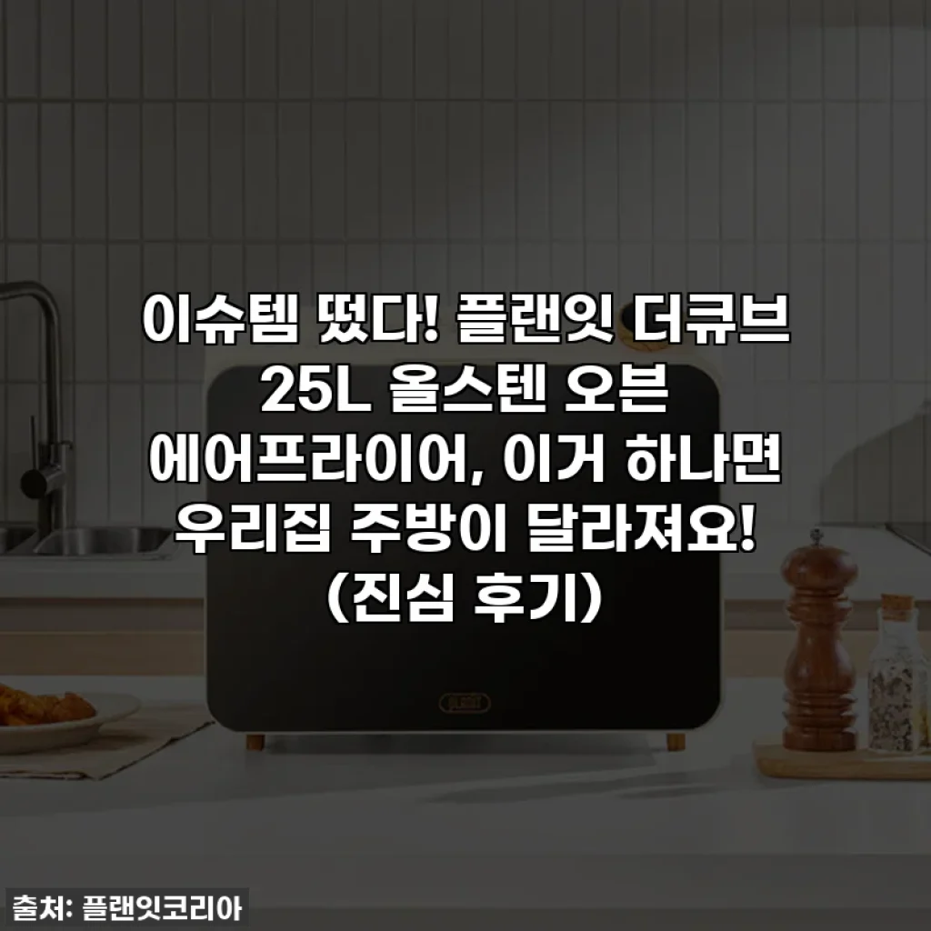 이슈템 떴다! 플랜잇 더큐브 25L 올스텐 오븐 에어프라이어, 이거 하나면 우리집 주방이 달라져요! (진심 후기)