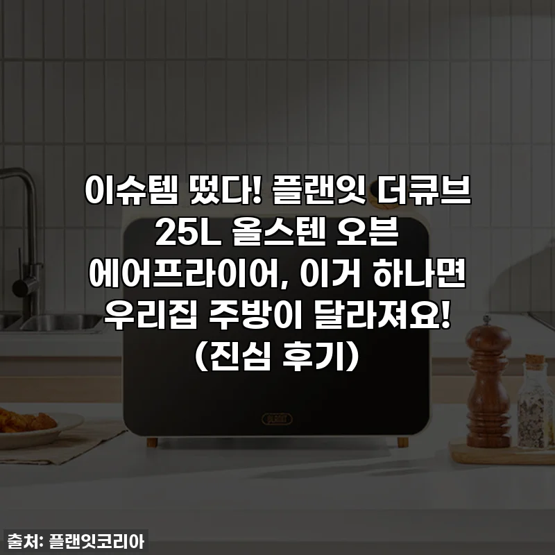이슈템 떴다! 플랜잇 더큐브 25L 올스텐 오븐 에어프라이어, 이거 하나면 우리집 주방이 달라져요! (진심 후기)