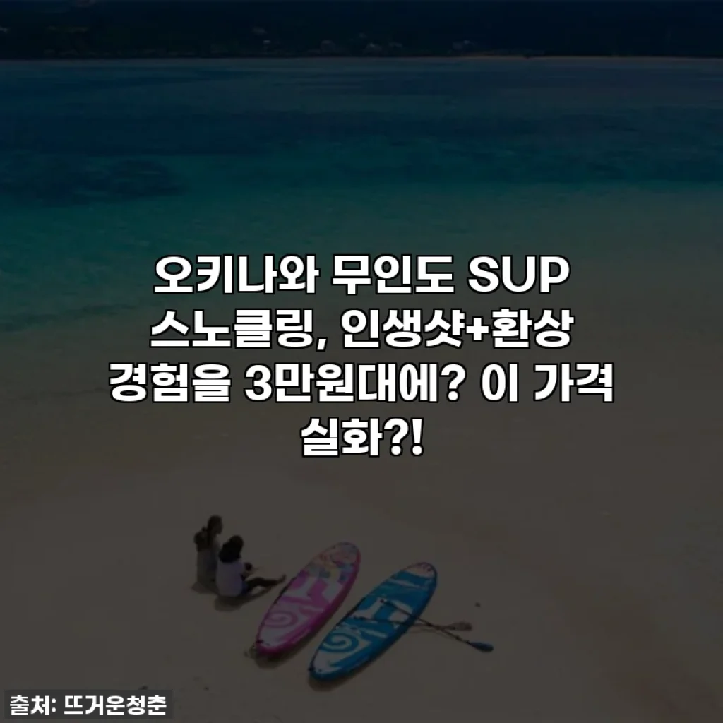 오키나와 무인도 SUP 스노클링, 인생샷+환상 경험을 3만원대에? 이 가격 실화?!