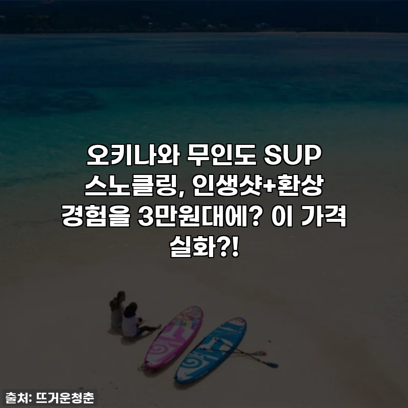 오키나와 무인도 SUP 스노클링, 인생샷+환상 경험을 3만원대에? 이 가격 실화?!