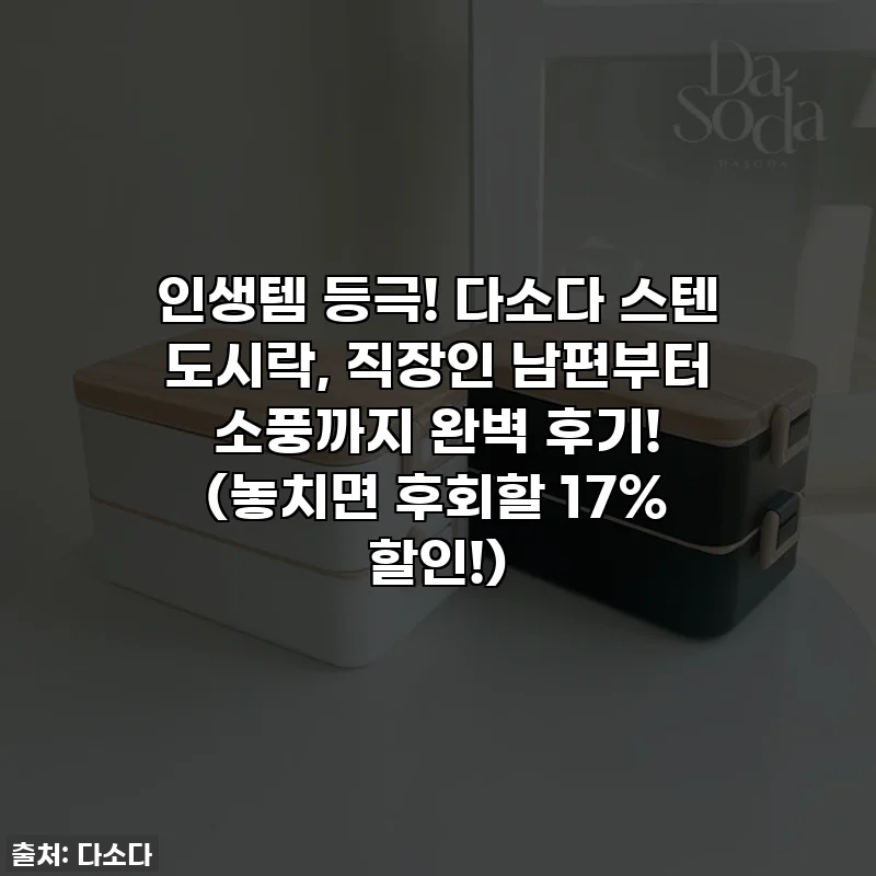 인생템 등극! 다소다 스텐 도시락, 직장인 남편부터 소풍까지 완벽 후기! (놓치면 후회할 17% 할인!)