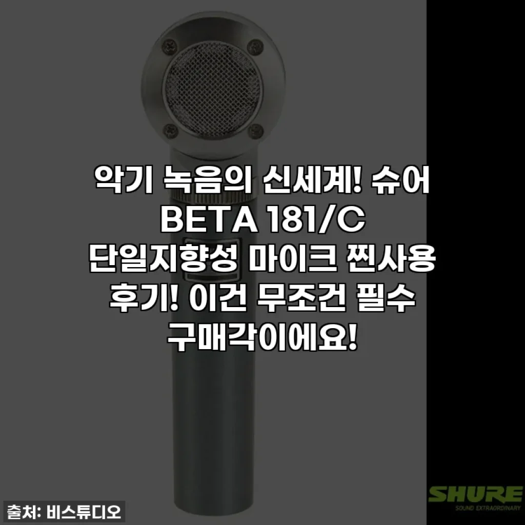 악기 녹음의 신세계! 슈어 BETA 181/C 단일지향성 마이크 찐사용 후기! 이건 무조건 필수 구매각이에요!