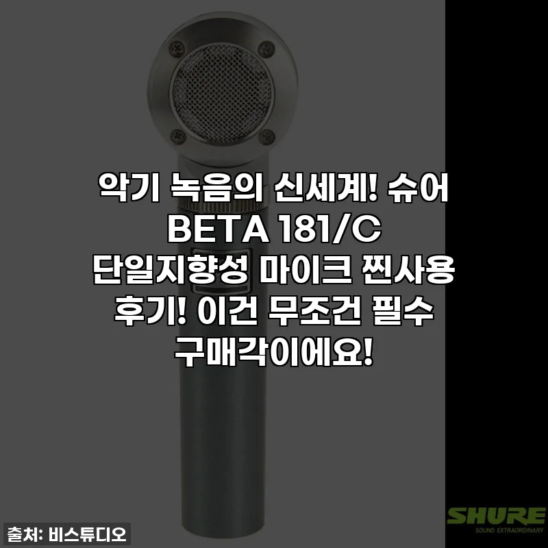악기 녹음의 신세계! 슈어 BETA 181/C 단일지향성 마이크 찐사용 후기! 이건 무조건 필수 구매각이에요!