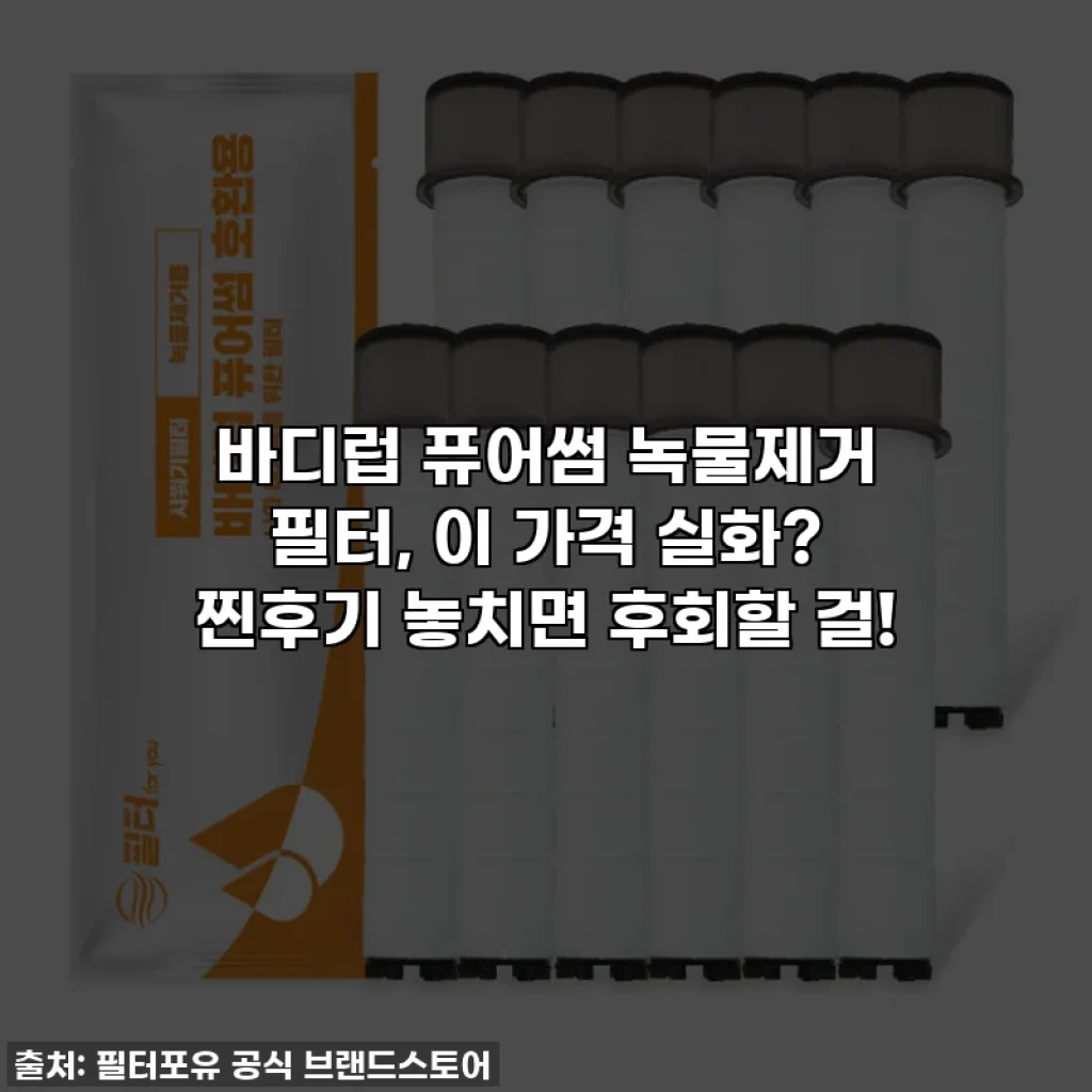 바디럽 퓨어썸 녹물제거 필터, 이 가격 실화? 찐후기 놓치면 후회할 걸!