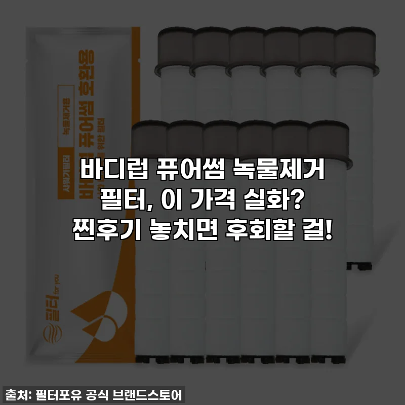 바디럽 퓨어썸 녹물제거 필터, 이 가격 실화? 찐후기 놓치면 후회할 걸!