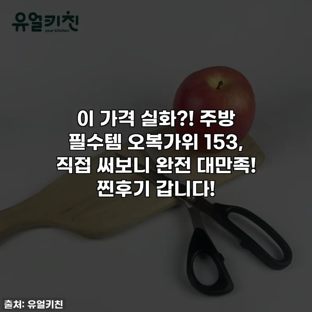 이 가격 실화?! 주방 필수템 오복가위 153, 직접 써보니 완전 대만족! 찐후기 갑니다!