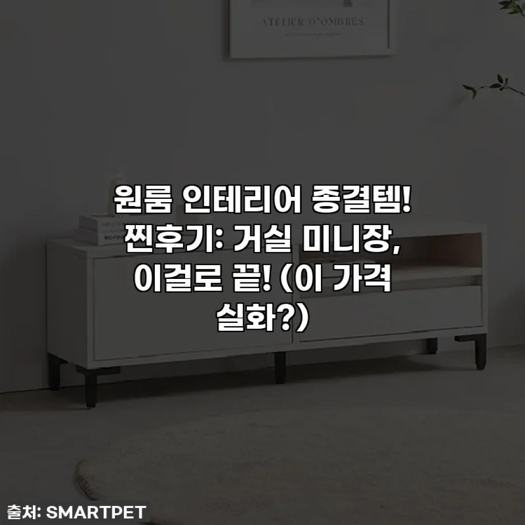 원룸 인테리어 종결템! 찐후기: 거실 미니장, 이걸로 끝! (이 가격 실화?)