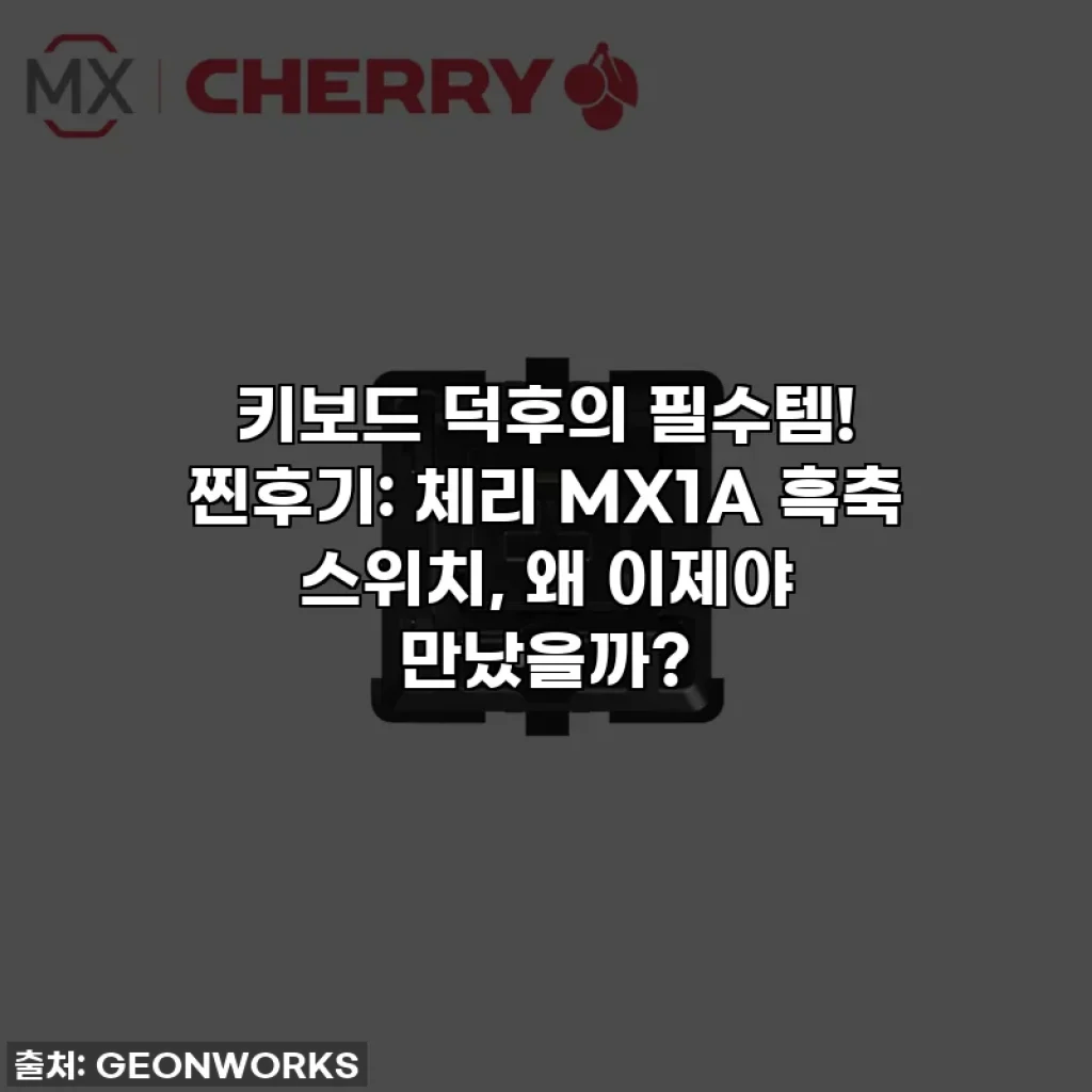 키보드 덕후의 필수템! 찐후기: 체리 MX1A 흑축 스위치, 왜 이제야 만났을까?