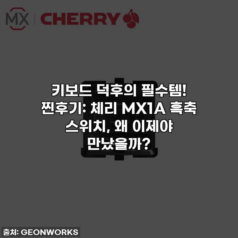 키보드 덕후의 필수템! 찐후기: 체리 MX1A 흑축 스위치, 왜 이제야 만났을까?