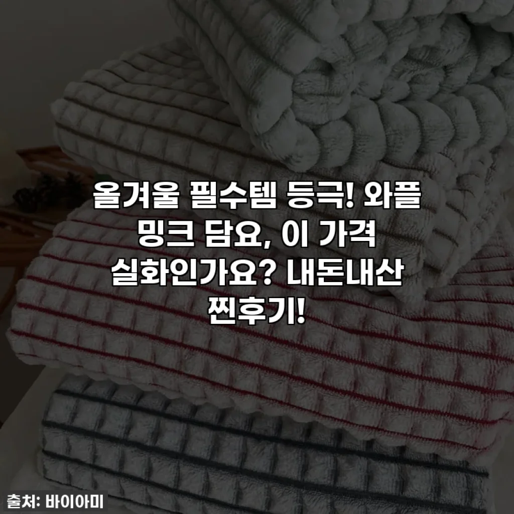 올겨울 필수템 등극! 와플 밍크 담요, 이 가격 실화인가요? 내돈내산 찐후기!